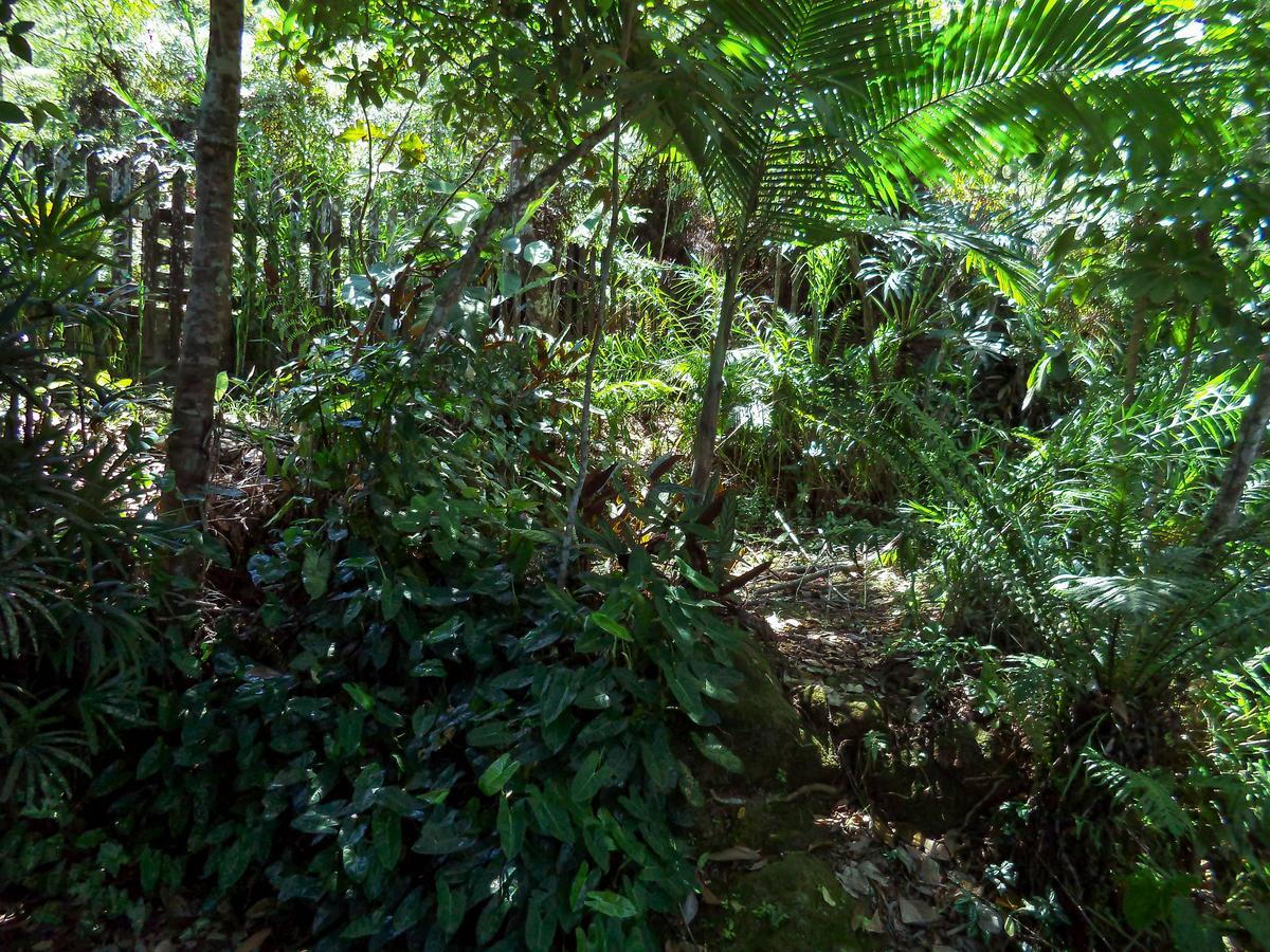 Laguna Guarujá Extérieur photo